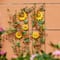 Glitzhome® 4ft. Metal Sunflowers Garden Trellis
